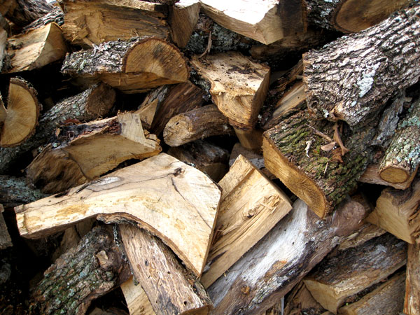 Post oak logs