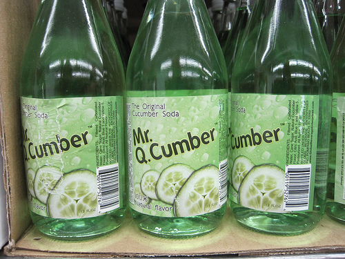 Mr. Q. Cumber by lisabeebe, on Flickr